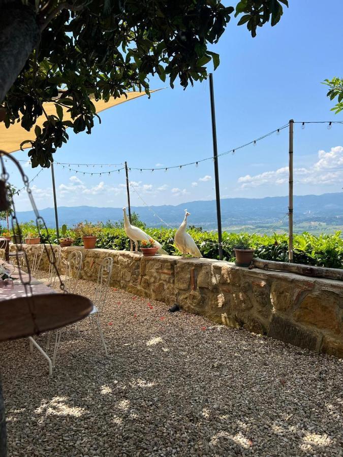 Agriturismo I Millepini Case Malva ภายนอก รูปภาพ